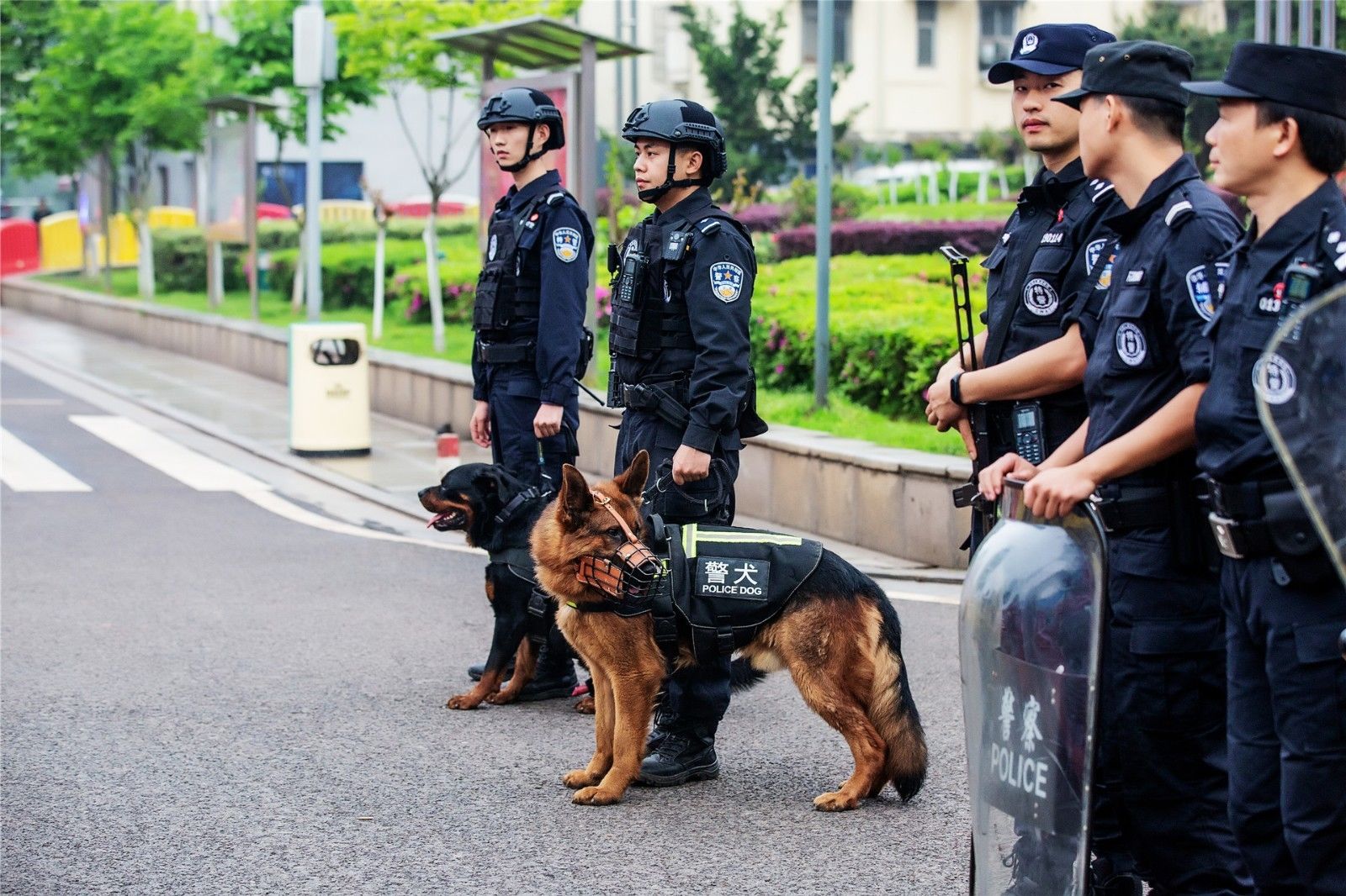 湖南意昂体育管理有限公司