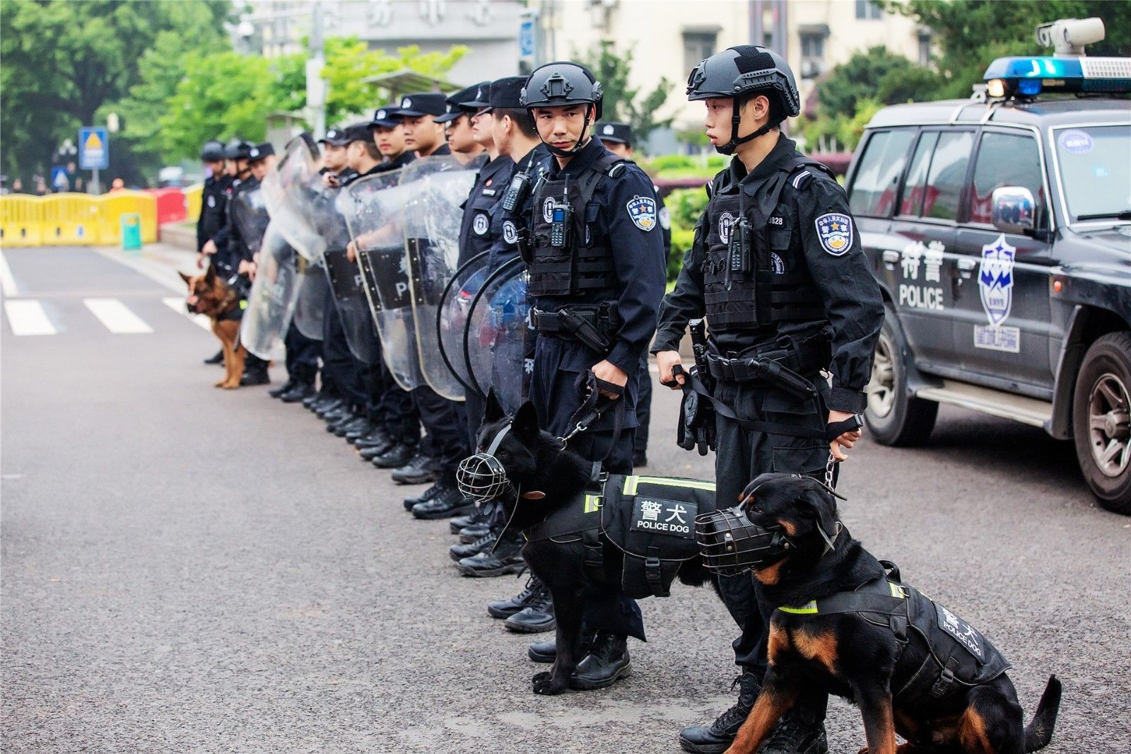 湖南意昂体育管理有限公司