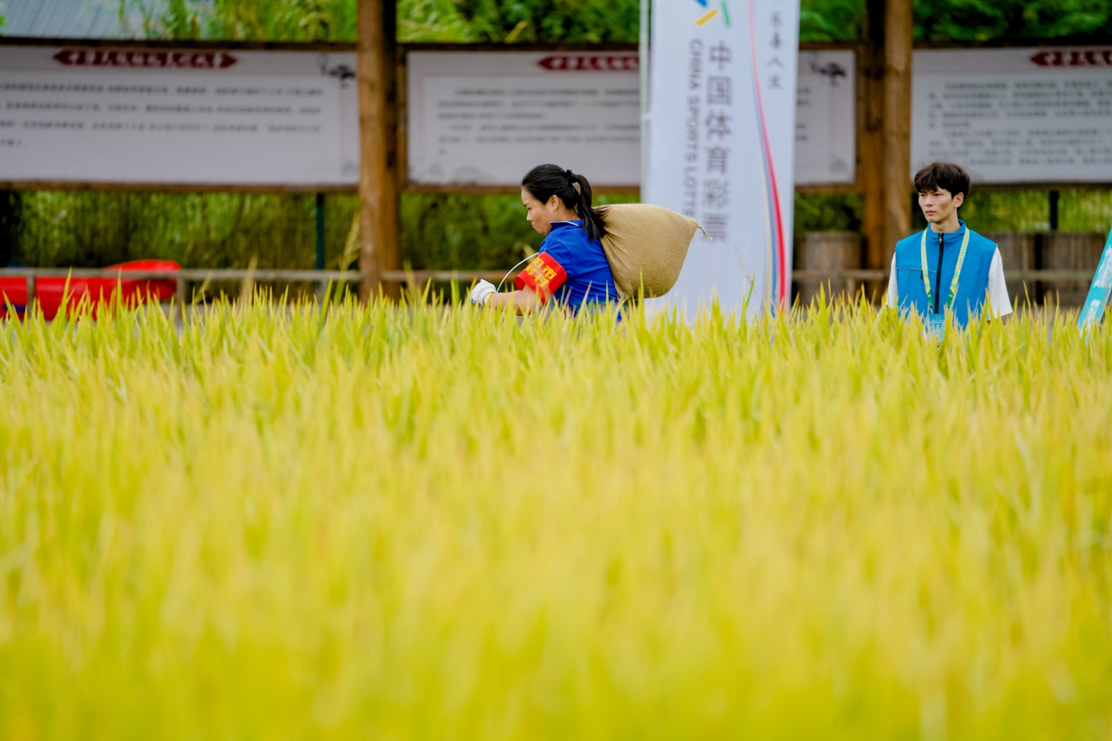 湖南意昂体育管理有限公司